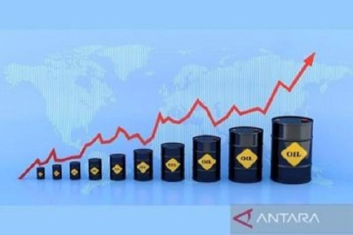 Harga Diesel Melonjak Tajam, Konsumen Kena Dampak Besar!