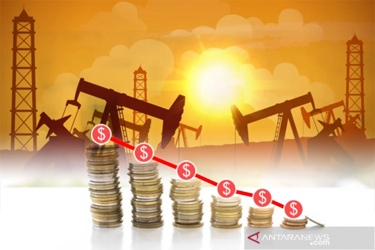 Harga Minyak Bumi Mengejutkan: Eksekutif Energi Peringatkan Kelangkaan Stok Minyak yang Kritis dan Lonjakan Harga yang Mendekati