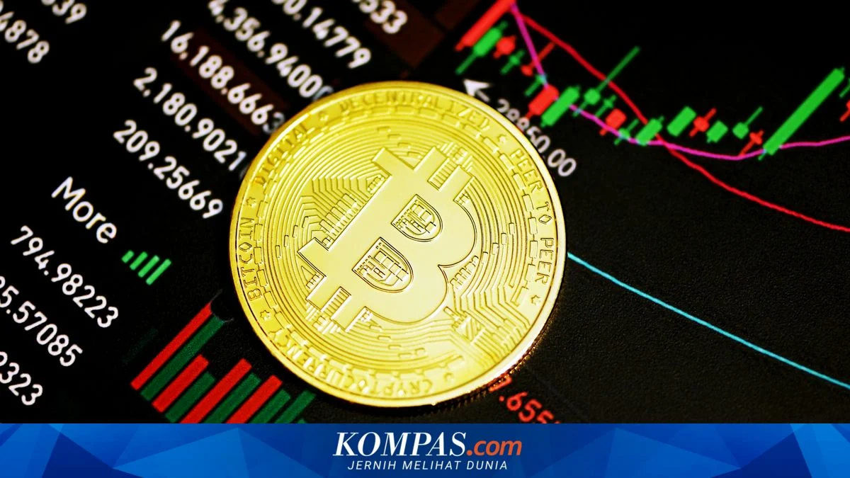Sinyal Crash 35% Bitcoin Muncul Kembali, Namun Si Paus Membeli $66 Juta