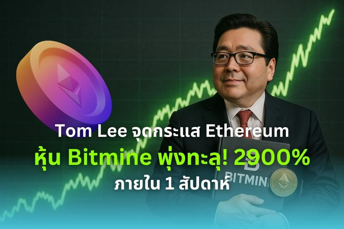 Tom Lee Pilih Ethereum atau Hyperliquid untuk BitMine?