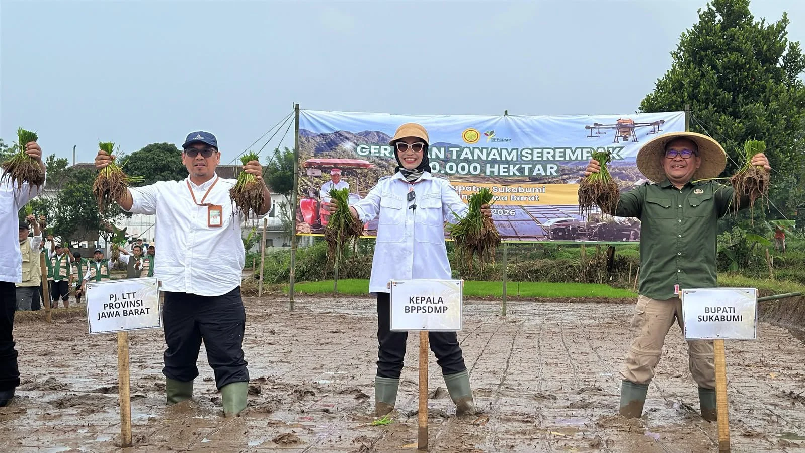Musim Hujan 2026 Tertunda: El Niño Kuat Goyang Tanam